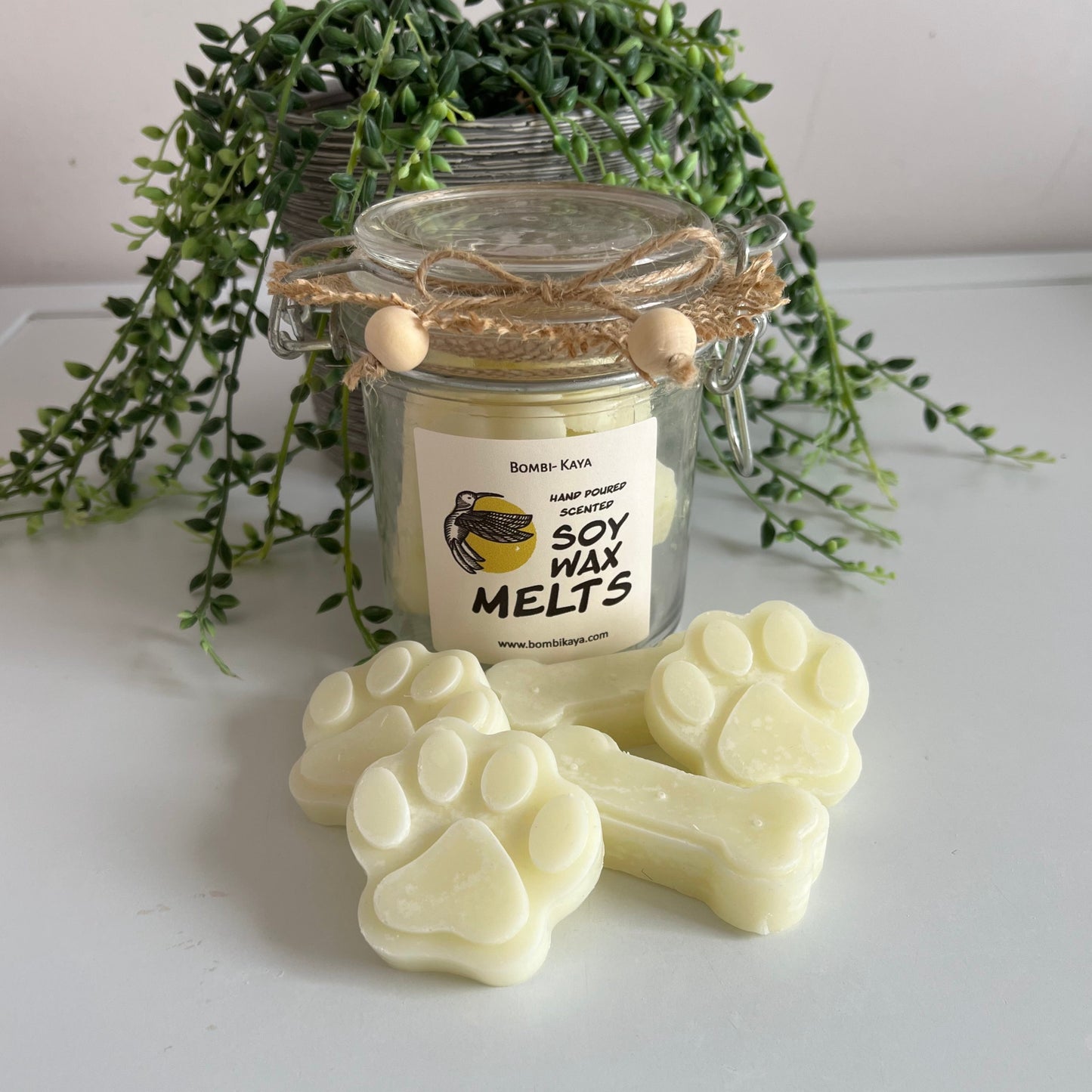 Dog Treats-Glass Jar Candle Melts