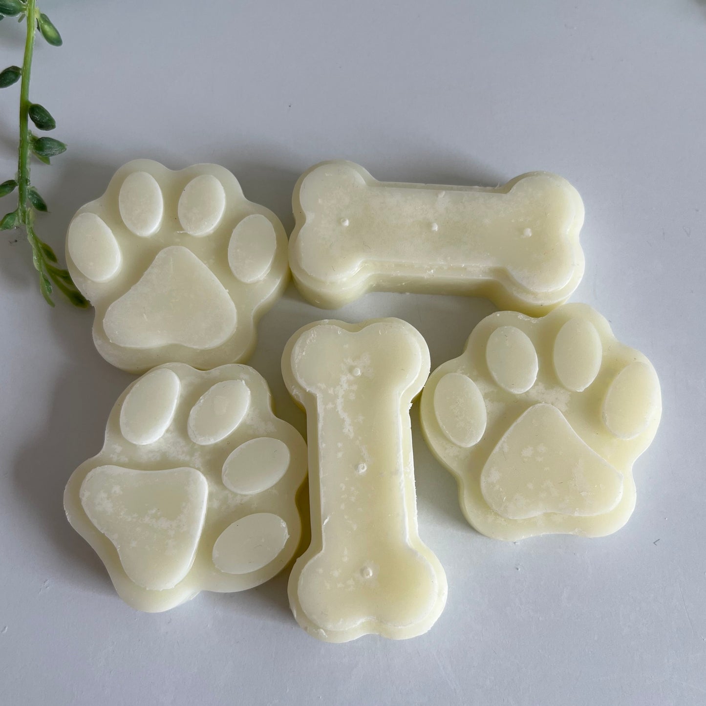 Dog Treats-Glass Jar Candle Melts