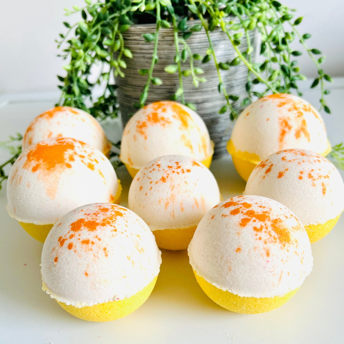 Twin Pack Lemon Meringue