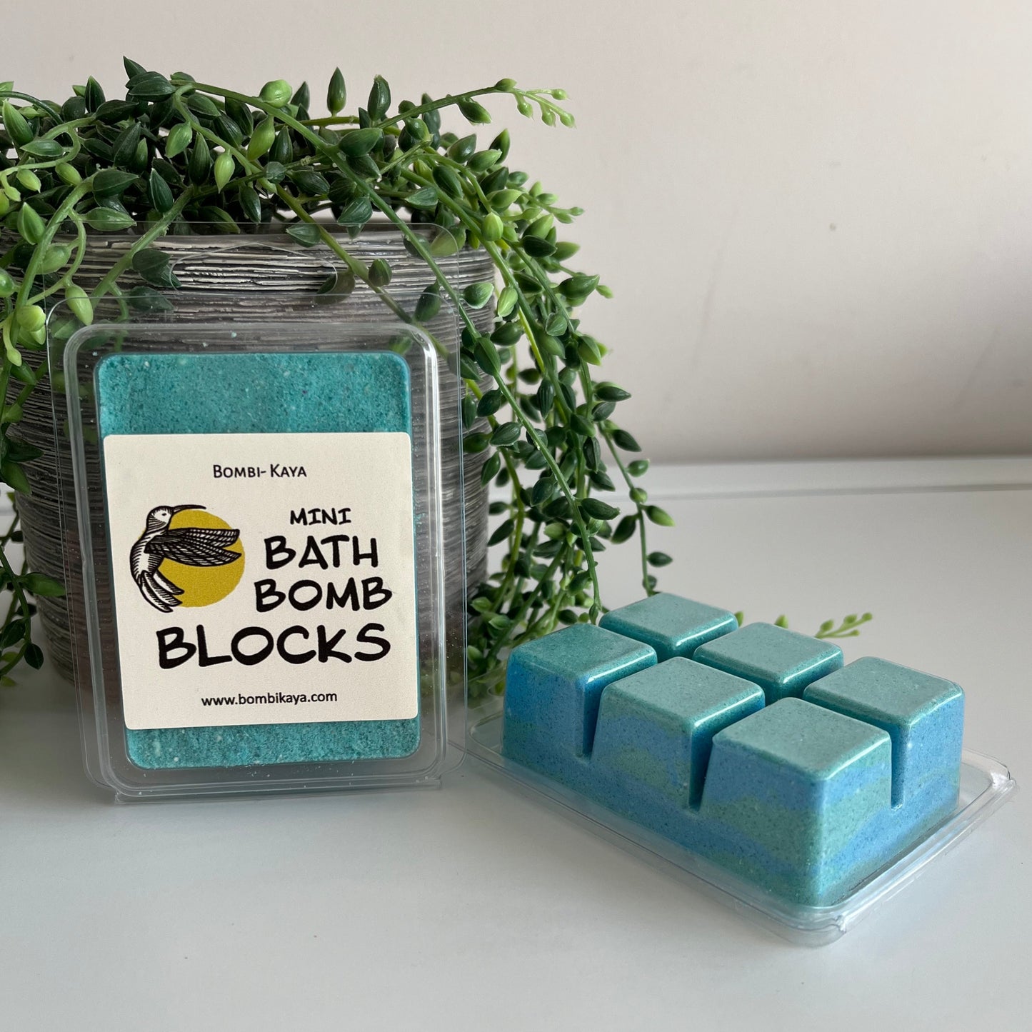 Clam Shell Bath Bombs Blocks- Ocean Breeze